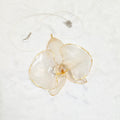 Unique White Orchid Resin Necklace — Real Flower Pendant